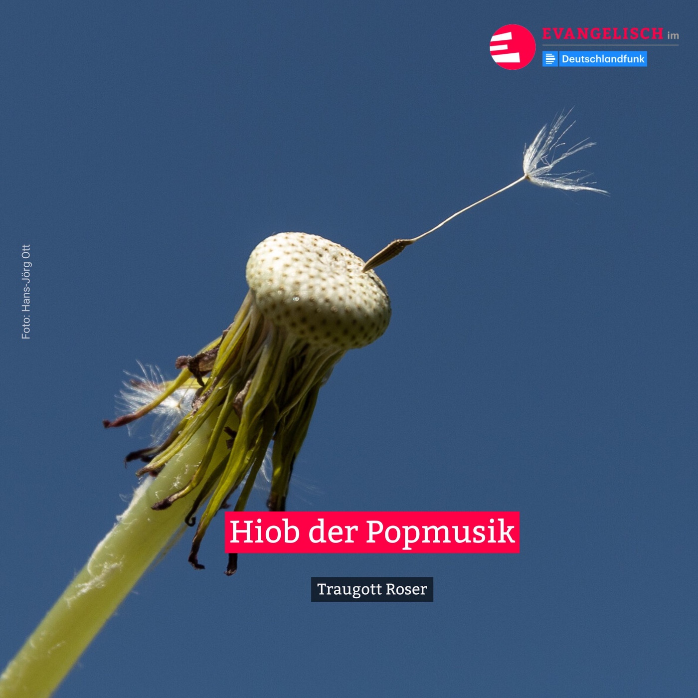 Hiob der Popmusik
