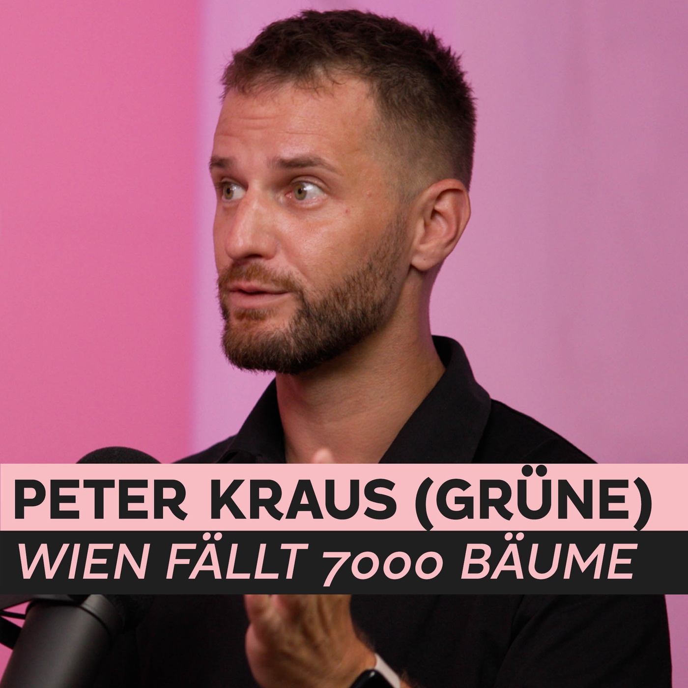 Peter Kraus über die Grünen, Bundesregierung, Wien uvm. । mit Gert Kunze