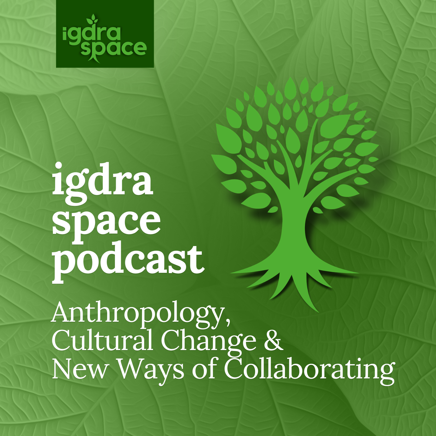 igdra space - Anthropology, Cultural Change and New Ways of Collaborating