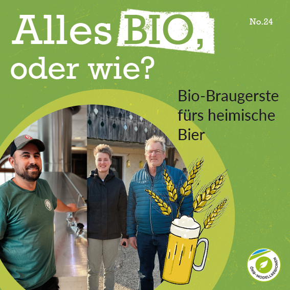 Bio-Braugerste fürs heimische Bier