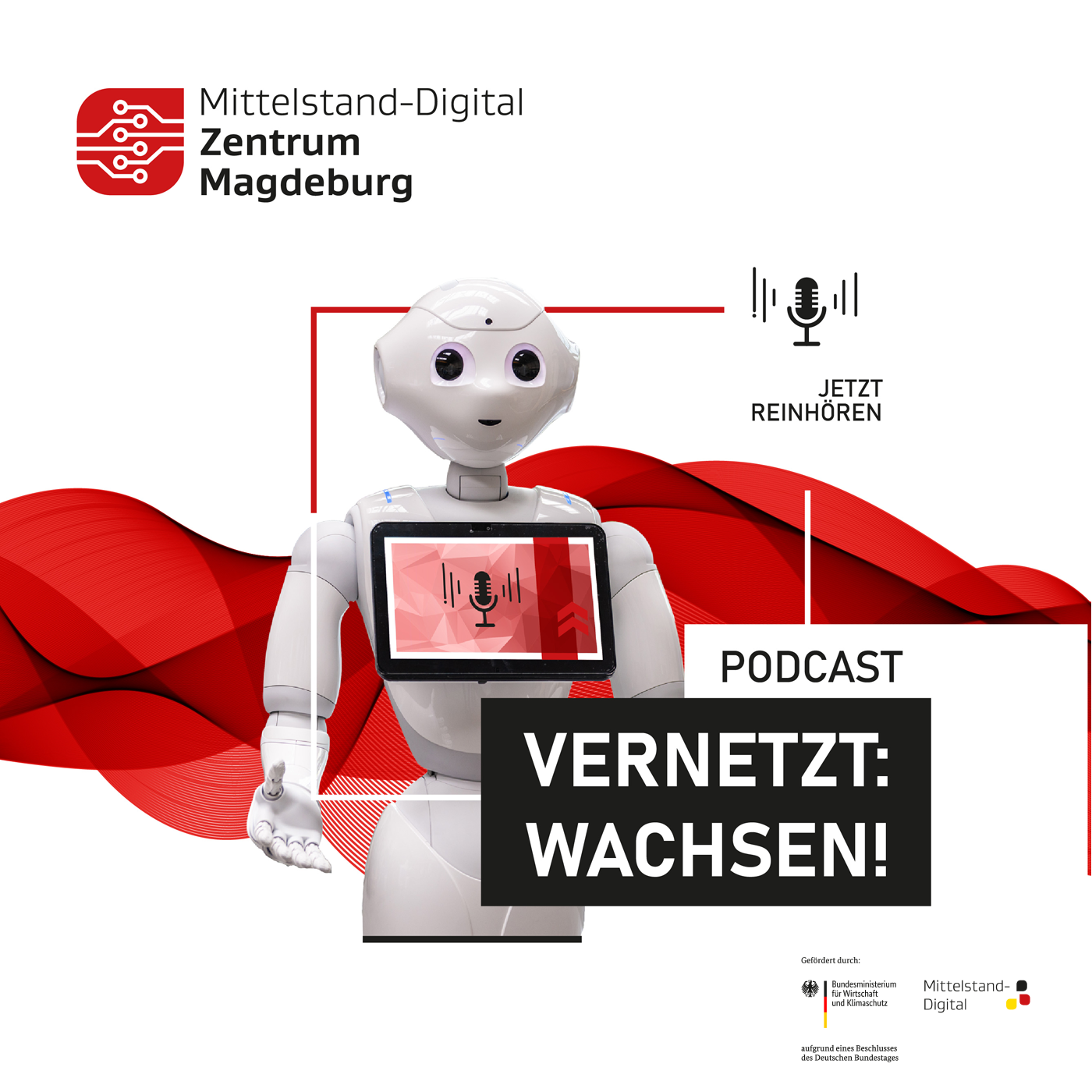 Vernetzt Wachsen - Ein Podcast des Mittelstand-Digital Zentrums Magdeburg