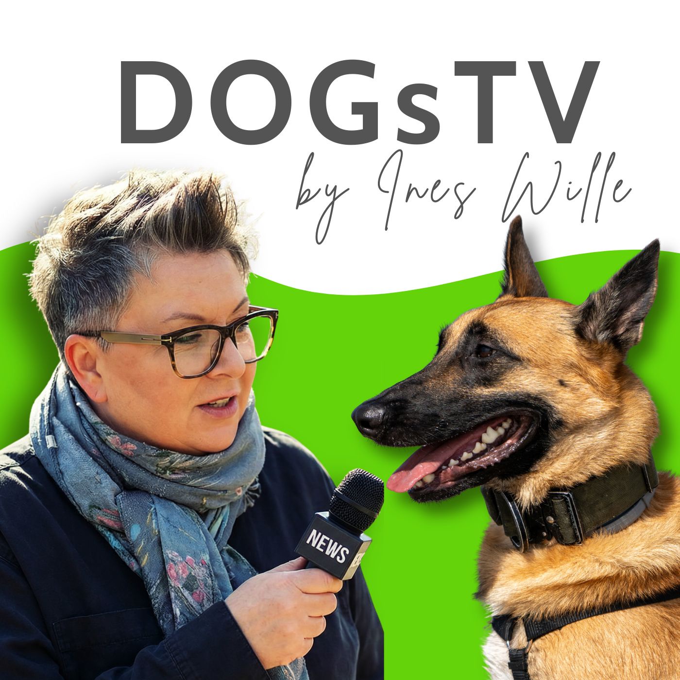 DOGsTV Hundewelt: Hunde ehrlich erklärt