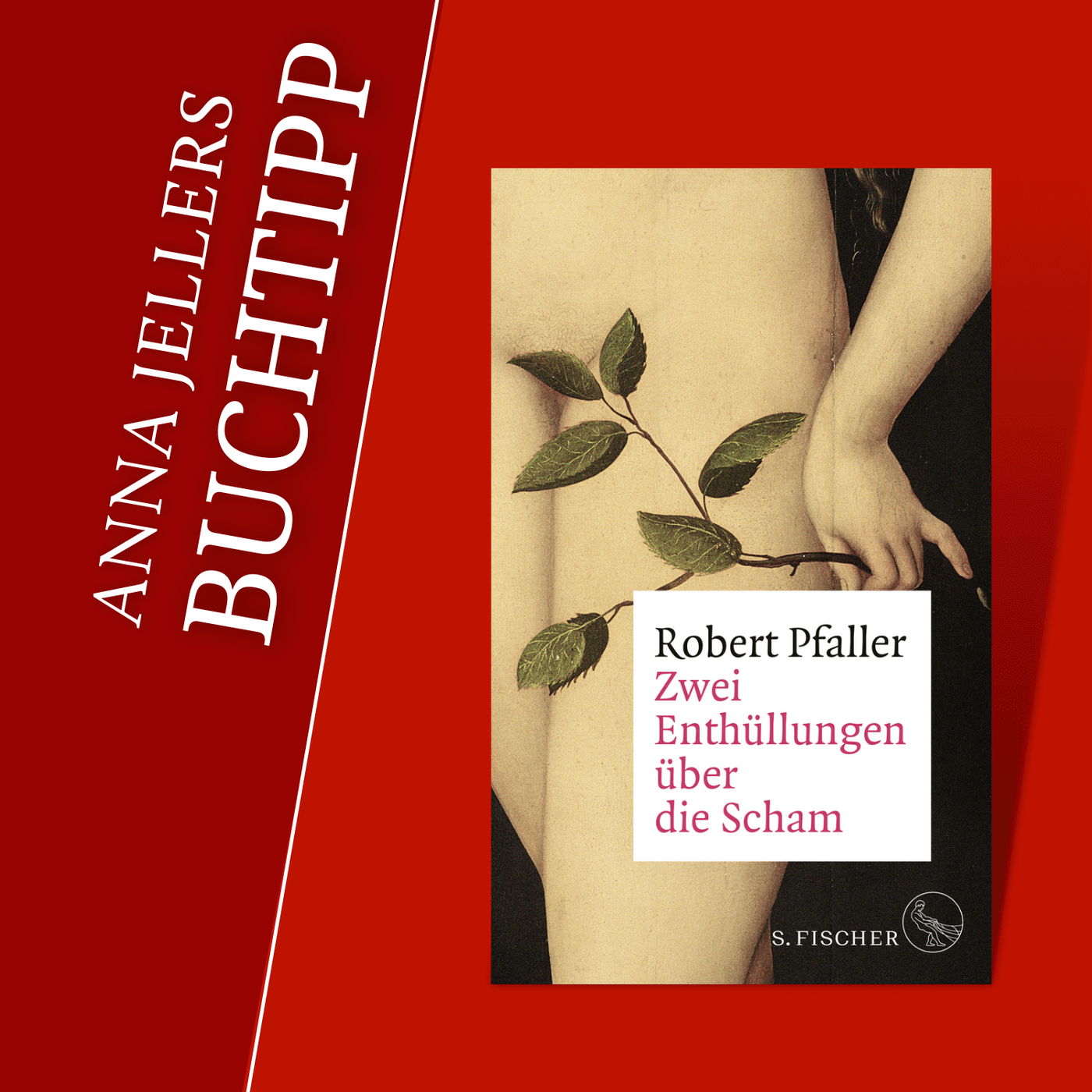 Anna Jellers Buchtipp | Robert Pfaller: Zwei Enthüllungen über die Scham