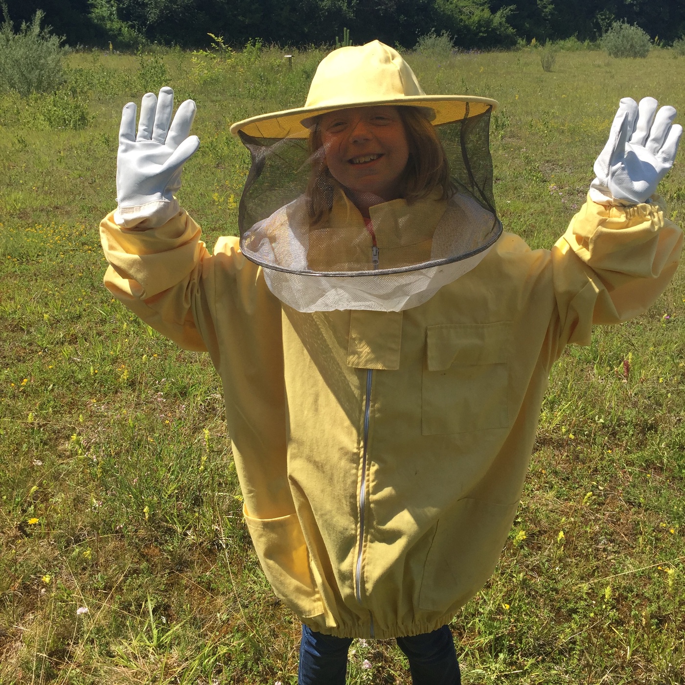 Besuch bei den Bienen