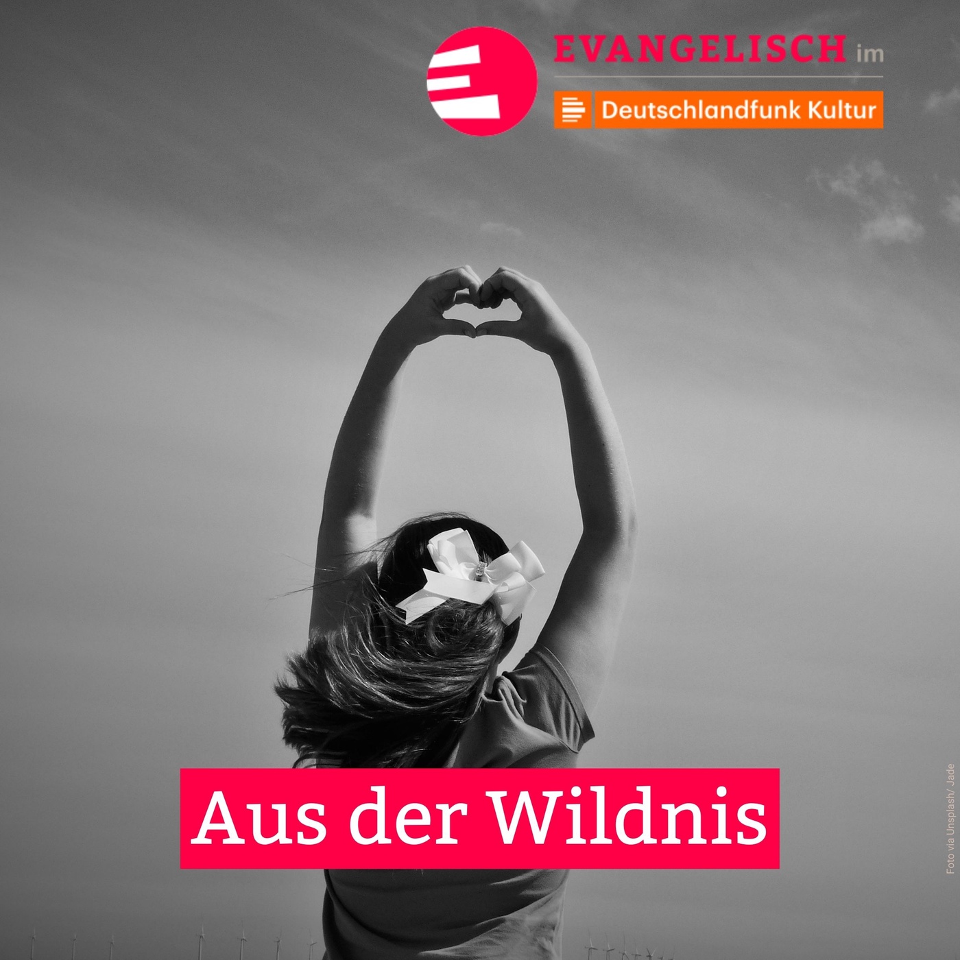 Aus der Wildnis