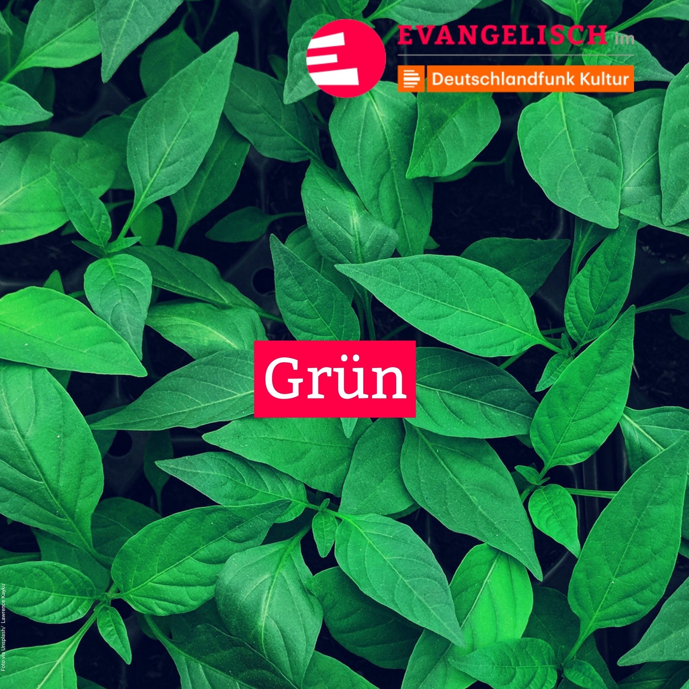 Grün