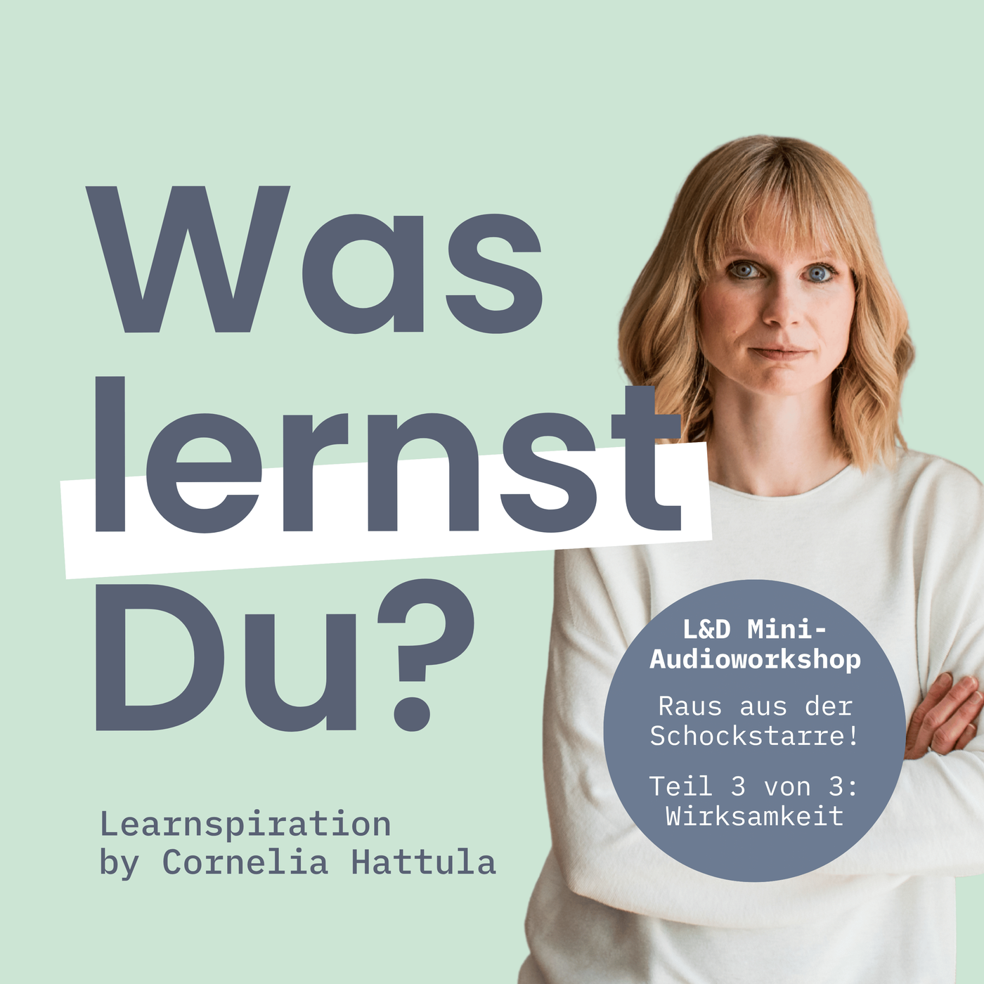 #163 – L&D Mini-Audioworkshop: Raus aus der Schockstarre – Teil 3: Wo seid ihr wirksam?