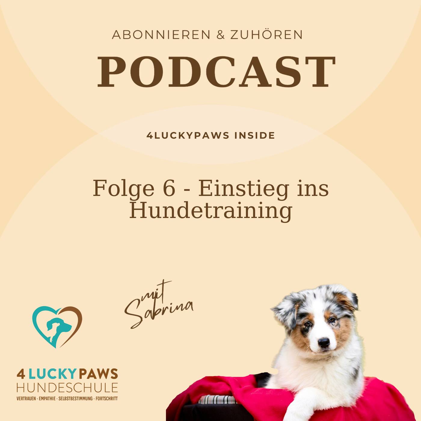 Folge 6 – Warum sollte man nach Möglichkeit früh im Hundetraining einsteigen