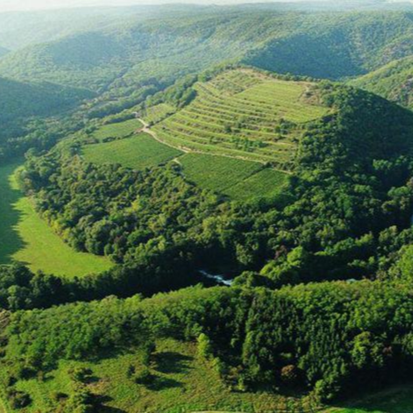 Tschechische Woche: Wein in musikalischer Begleitung – Teil 5