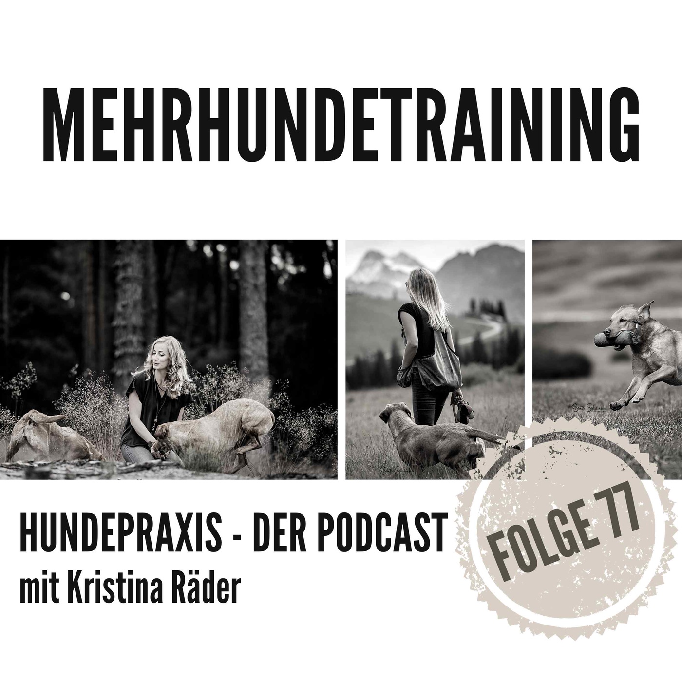 Mehrhundetraining