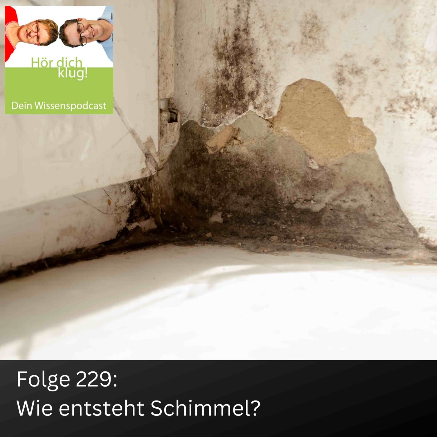 Wie entsteht Schimmel in der Wohnung?