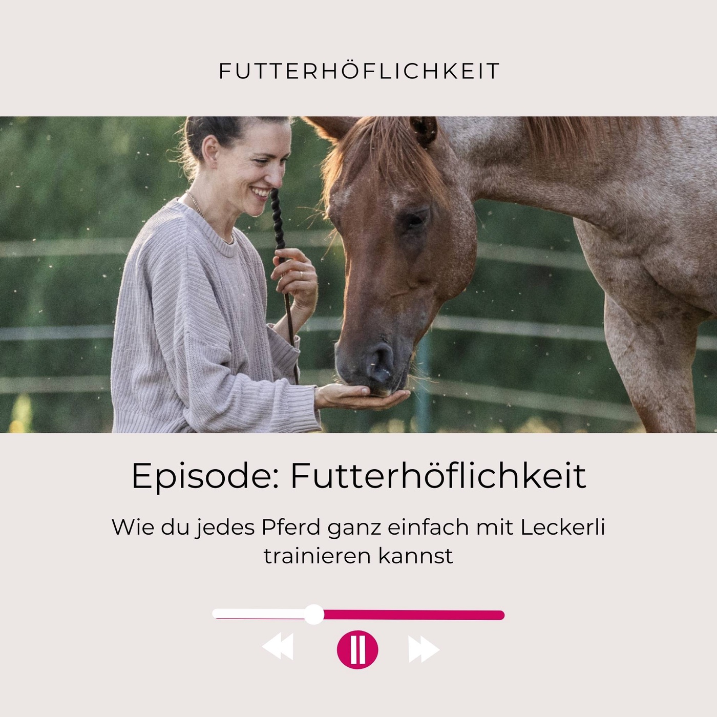 Wie du jedes Pferd mit Leckerli trainieren kannst