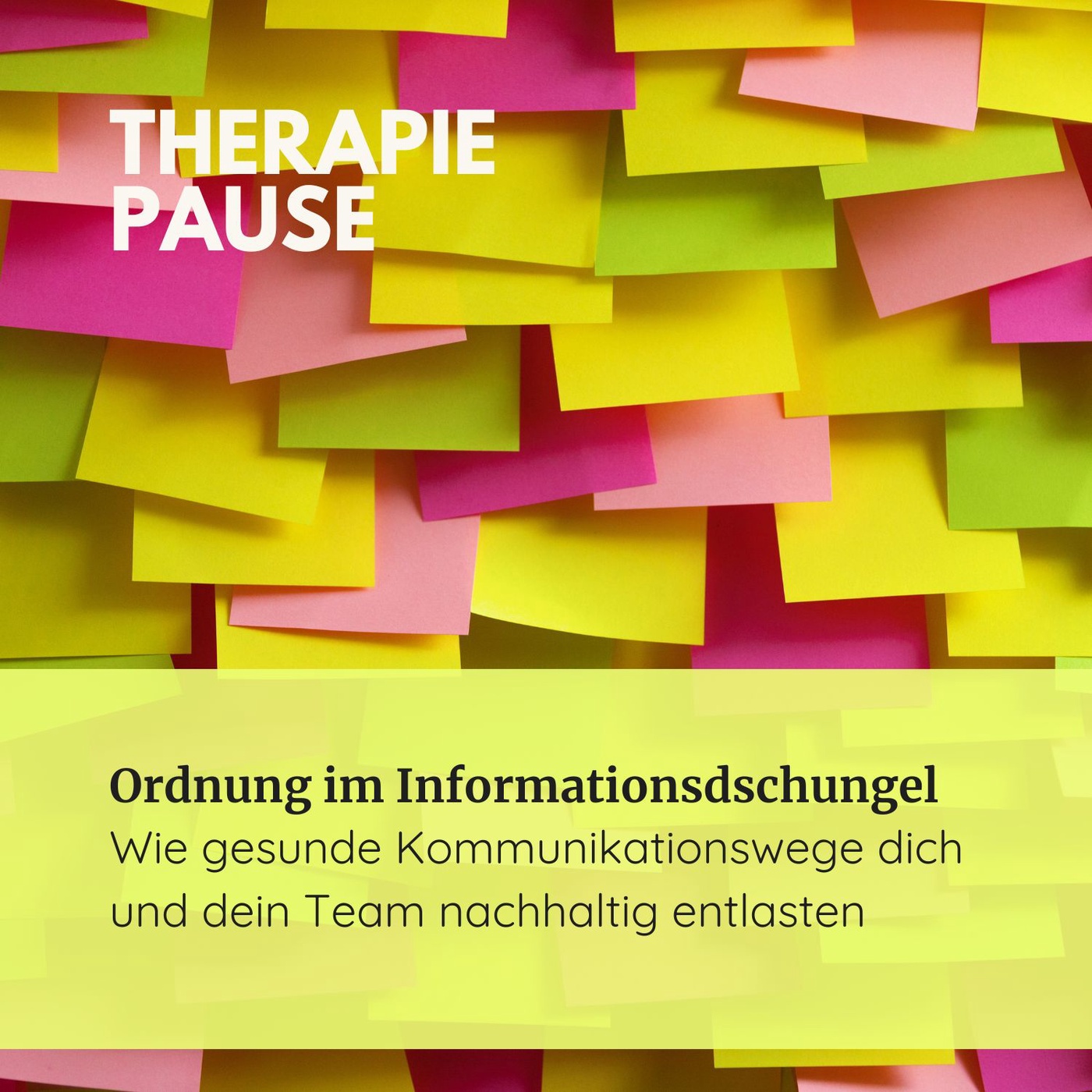 #35 Ordnung im Informationsdschungel - Wie gesunde Kommunikationswege dich und dein Team nachhaltig entlasten