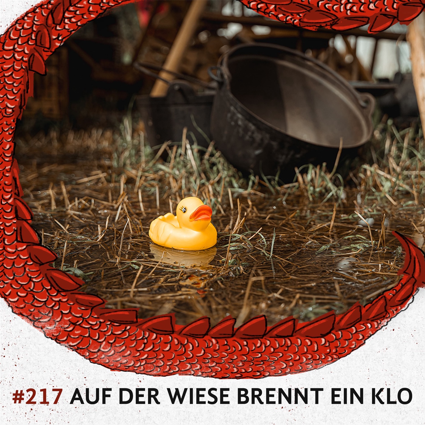 217 Auf der Wiese brennt ein Klo