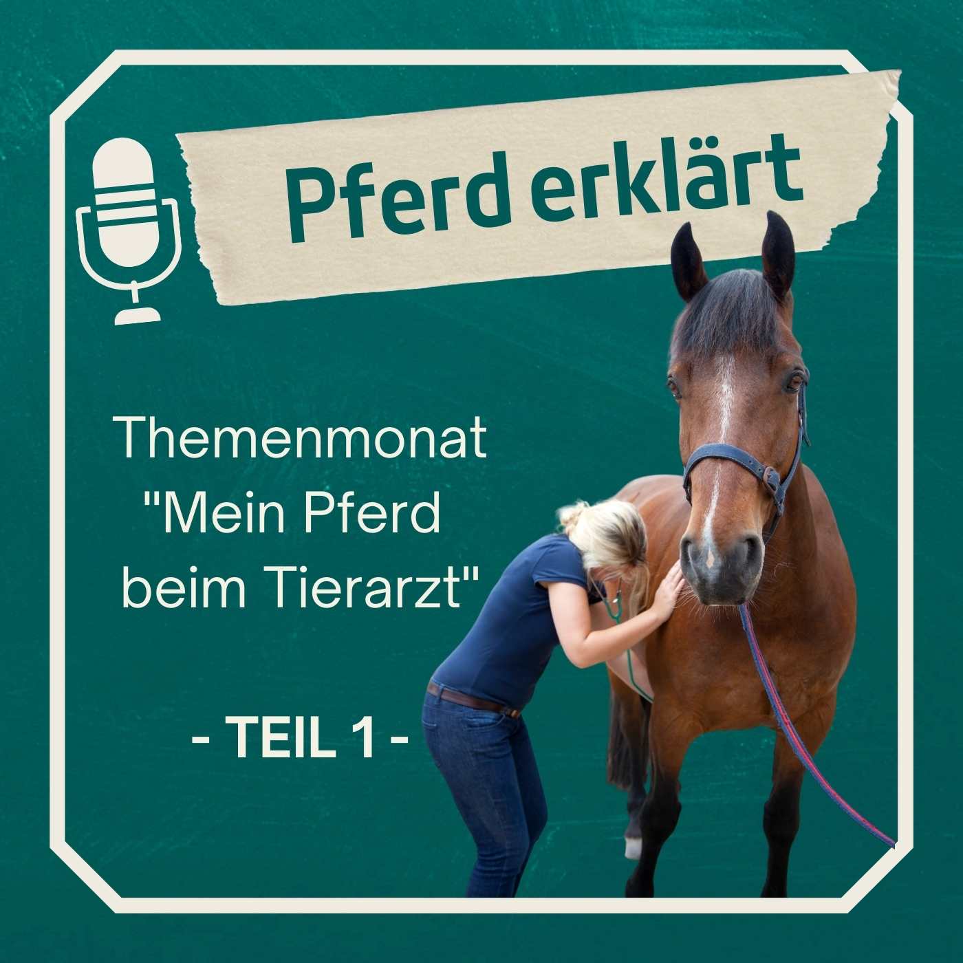 Das Pferd beim Tierarzt - Teil 1: Zusammenfassung Themenmonat