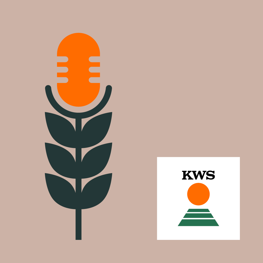 #8 Wolkenkratzer Bauernhof - Vertical Farming