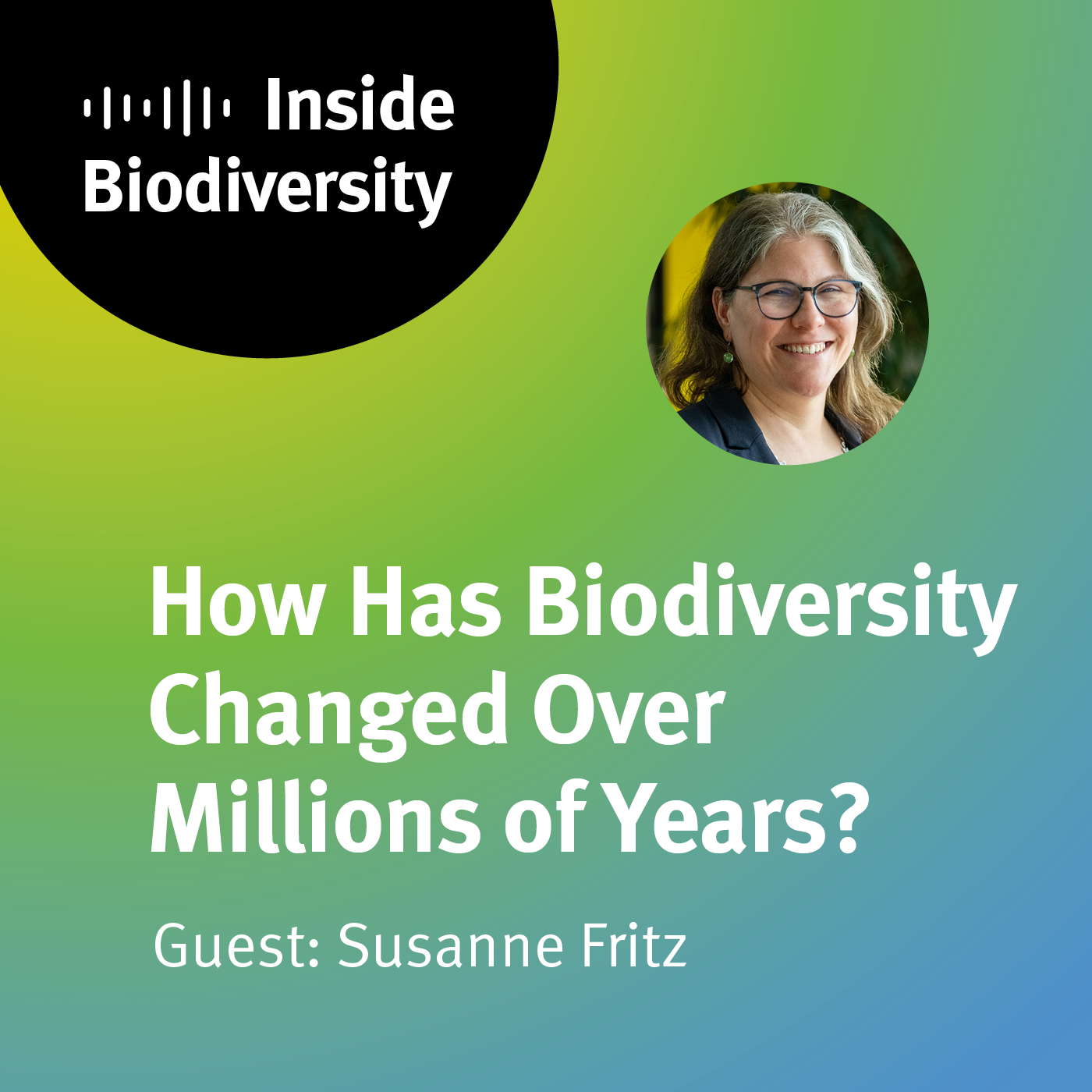 How Has Biodiversity Changed Over Millions of Years?