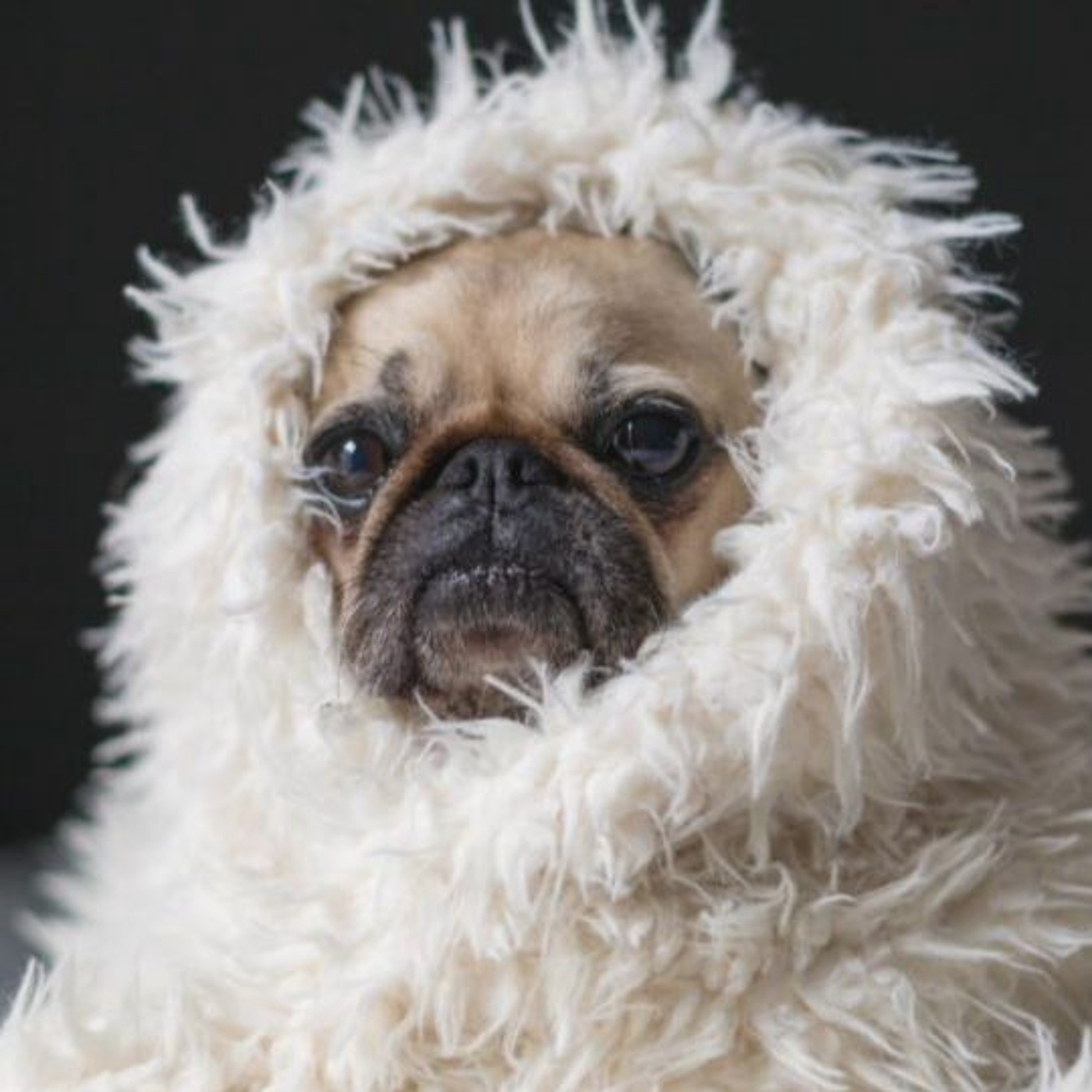 K#365 Black Friday aus Sicht der Händler