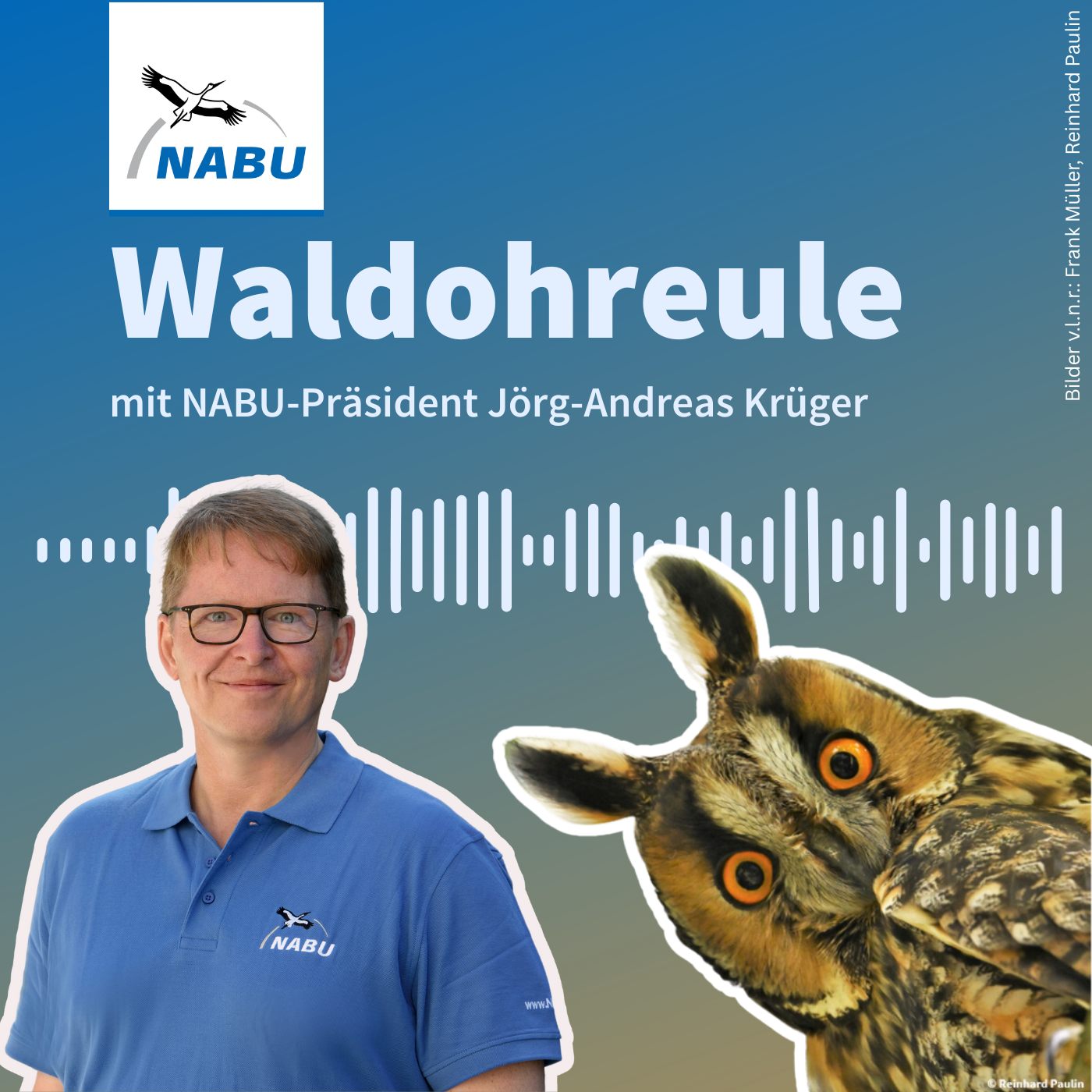 Naturschutz aktiv gestalten - Ein Gespräch mit NABU-Präsident Jörg-Andreas Krüger