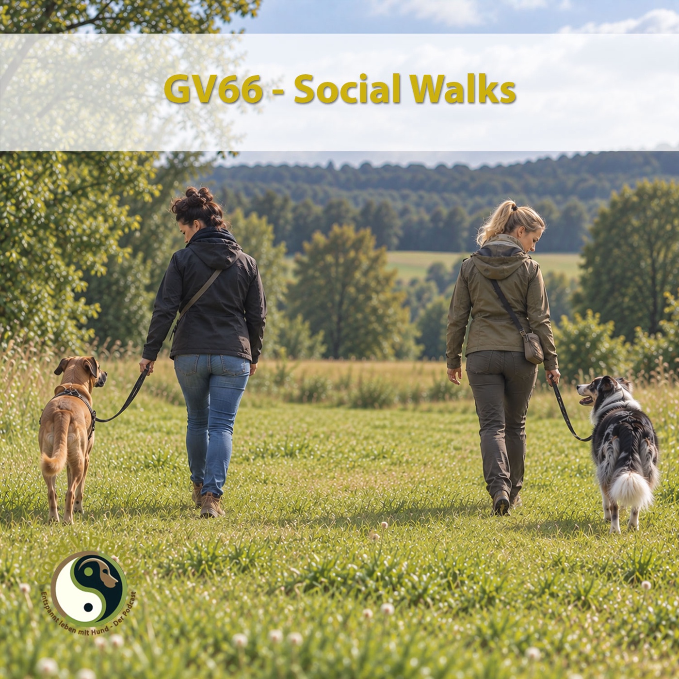 GV 66_Social Walk.