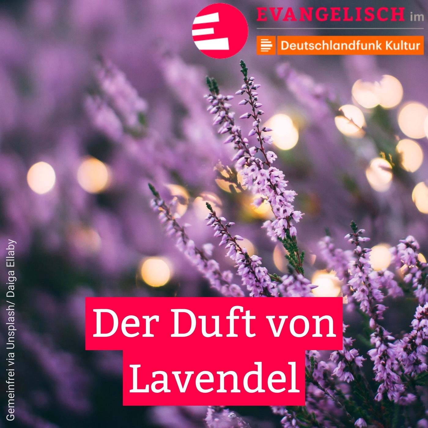 Der Duft von Lavendel