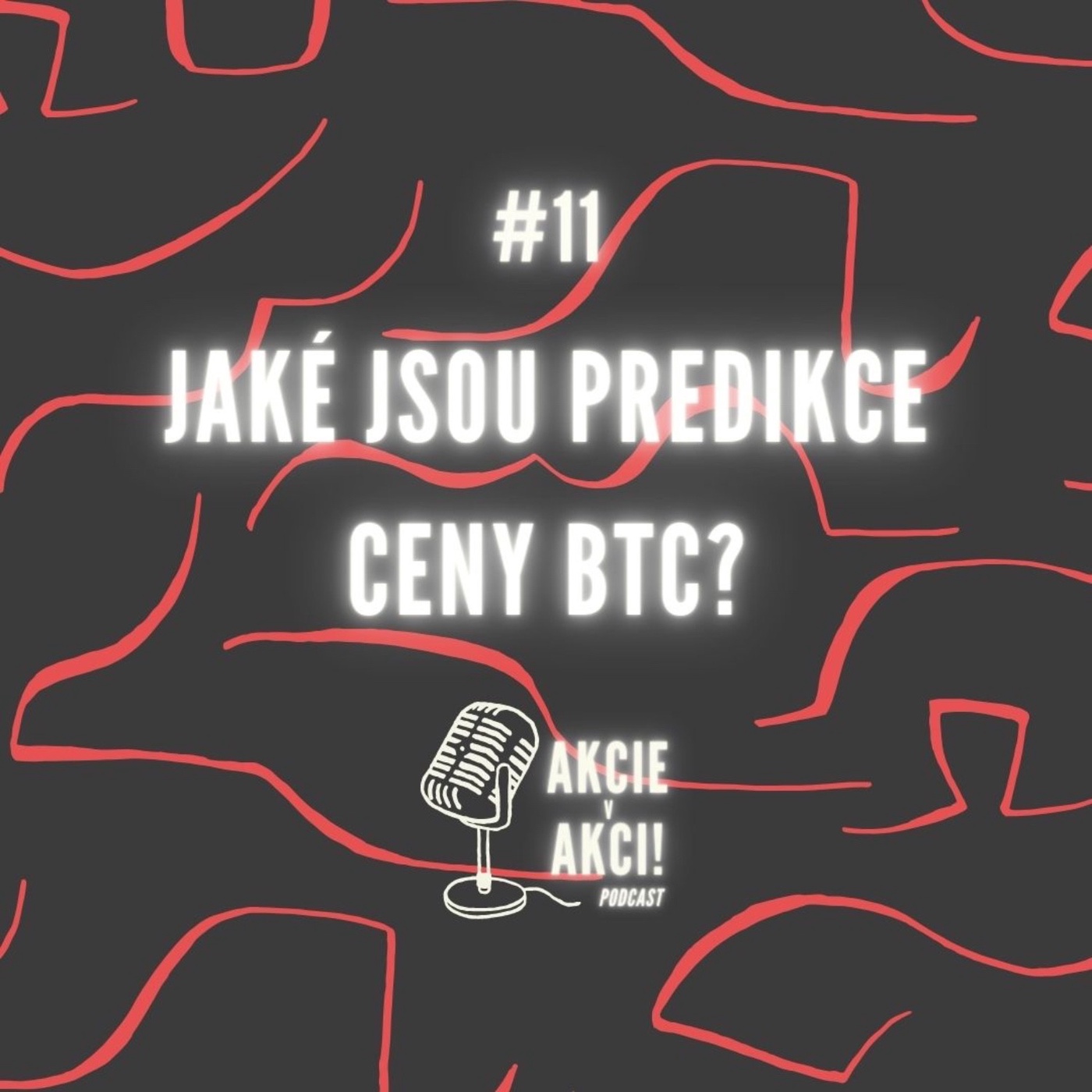 #11 JAKÉ JSOU PREDIKCE CENY BTC?