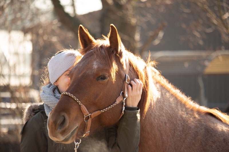 Merkwürdige Reiterwelt - Teil 2
