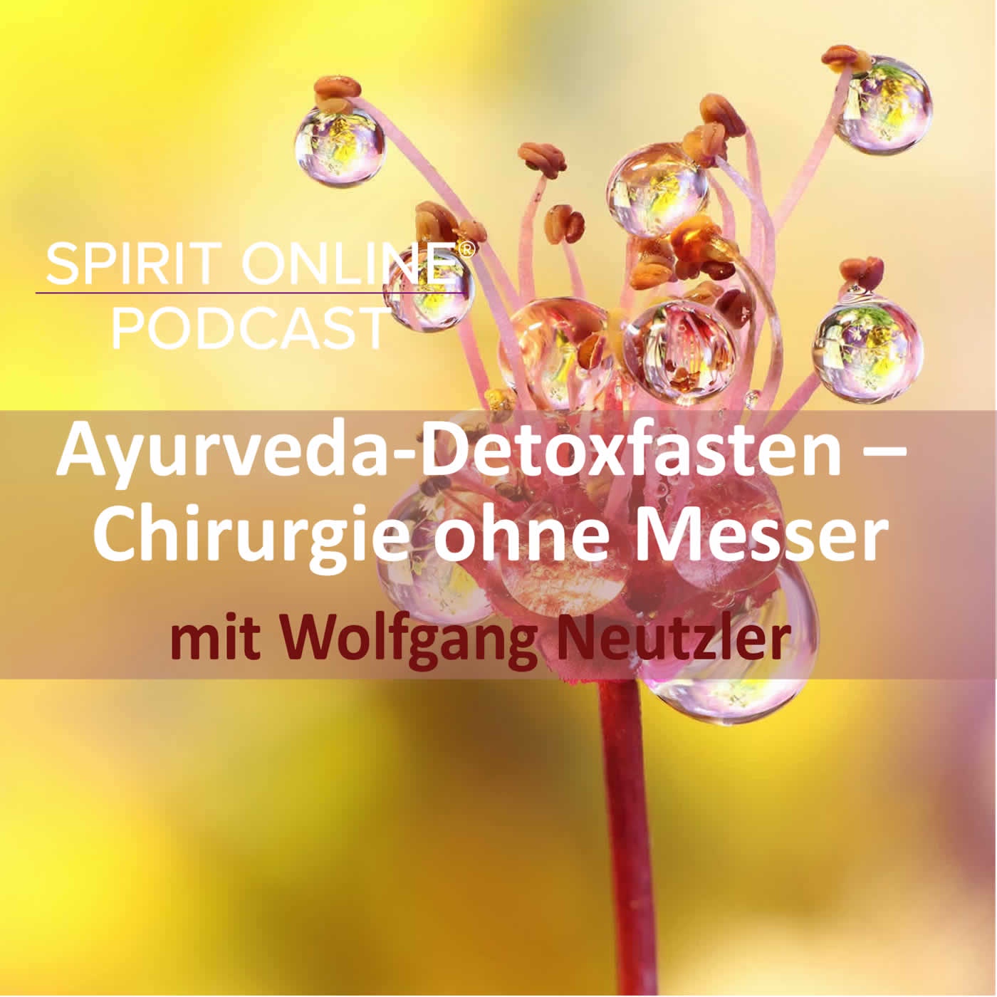 Ayurveda-Detoxfasten – Chirurgie ohne Messer mit Wolfgang Neutzler