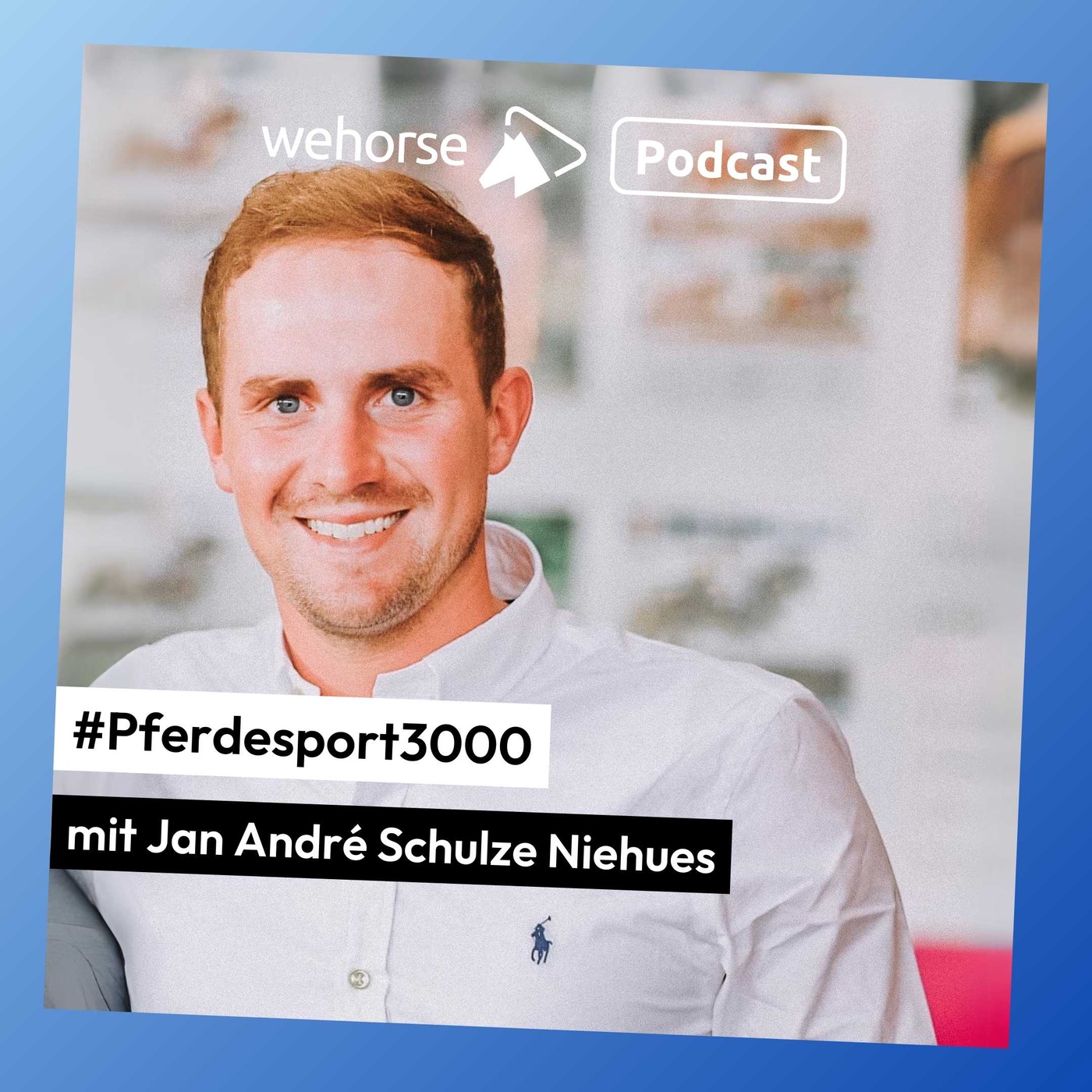 #Pferdesport3000 Miniserie Folge 5: Jan Schulze Niehues über den Faktor Individualität im Reitschulbetrieb der Zukunft