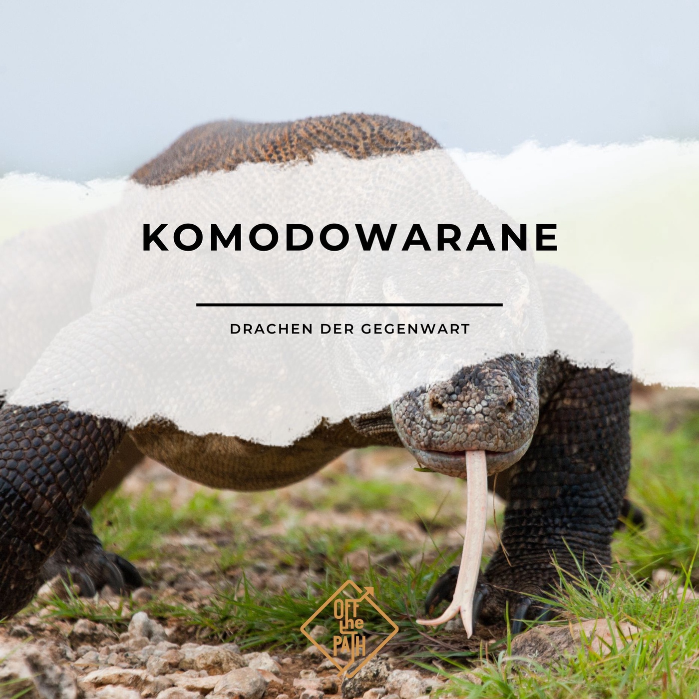 Die letzten Riesen der Urzeit - Komodowarane