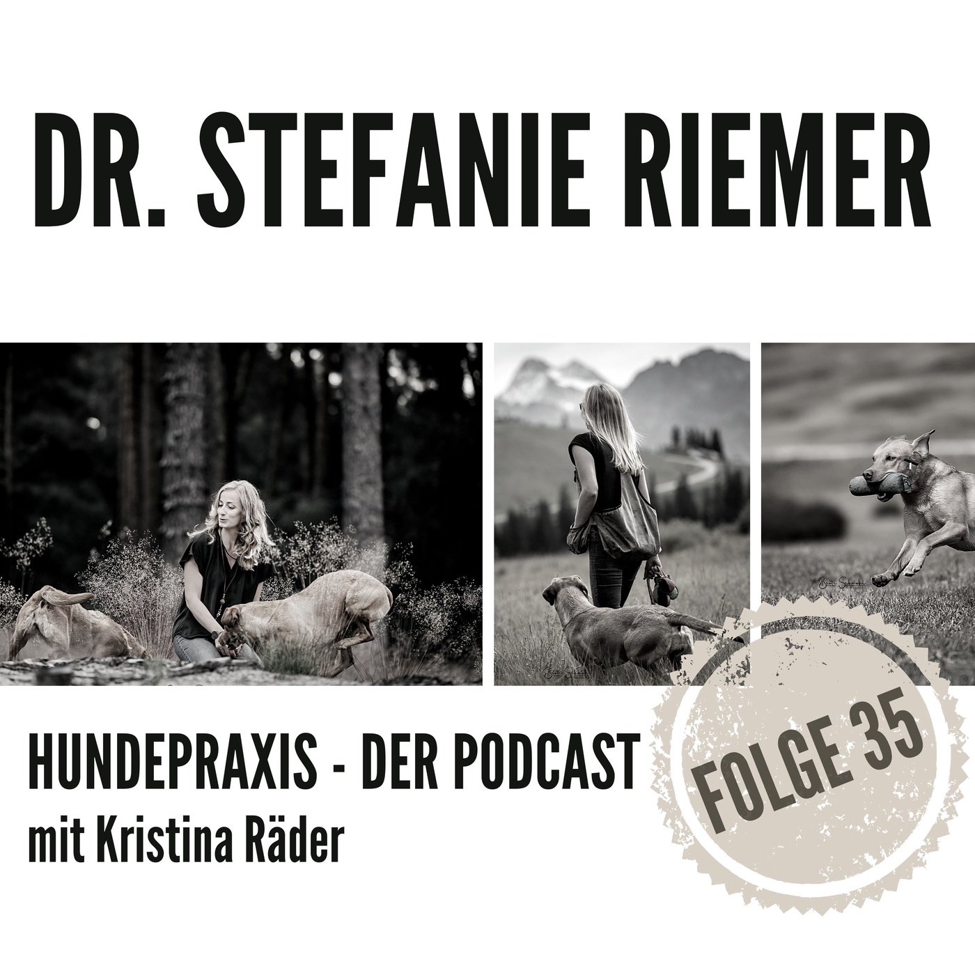 Emotionen bei Hunden - Dr. Stefanie Riemer