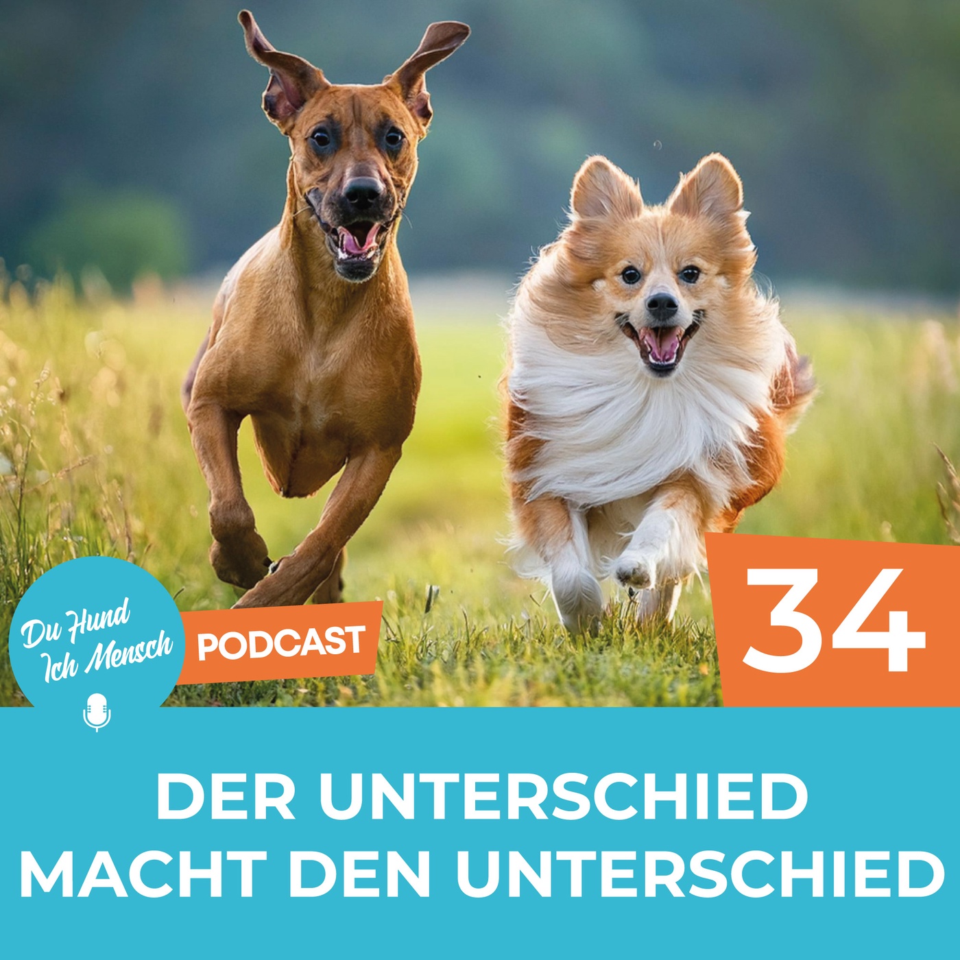 34# Der Unterschied macht den Unterschied