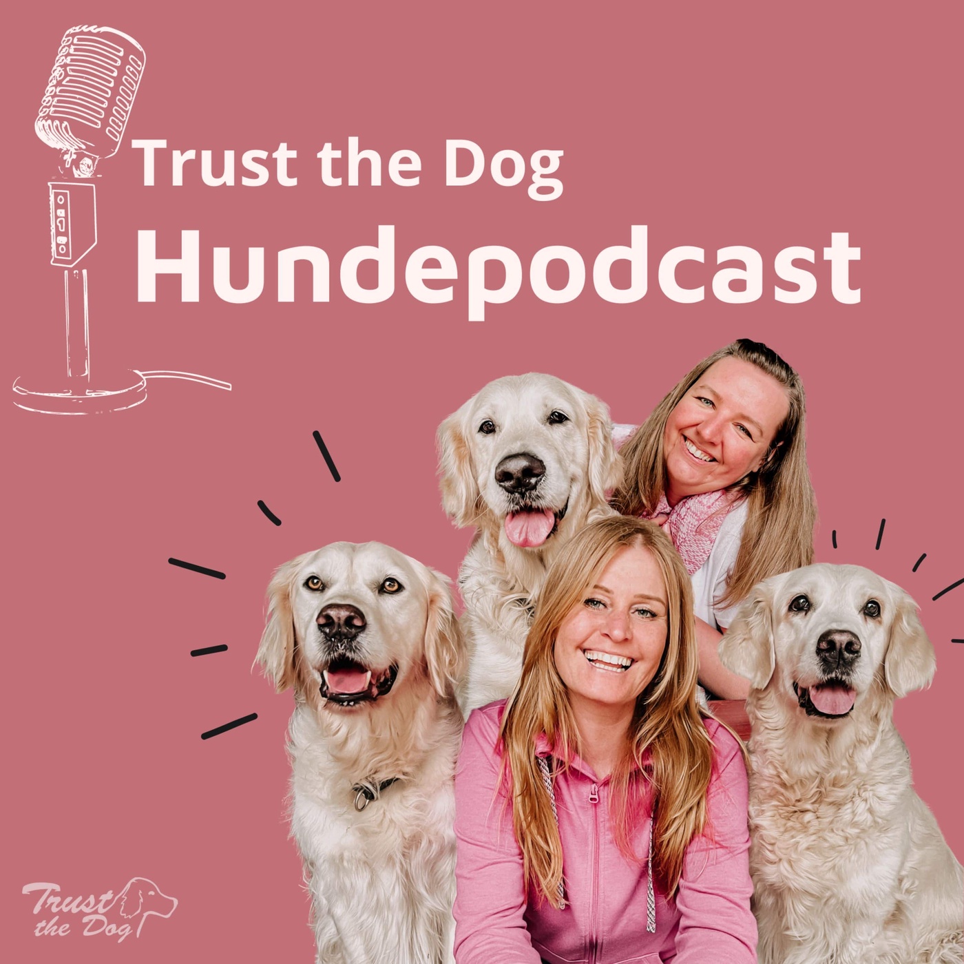 Mit dem Hund tricksen: Clevere Kopfarbeit für deinen Hund