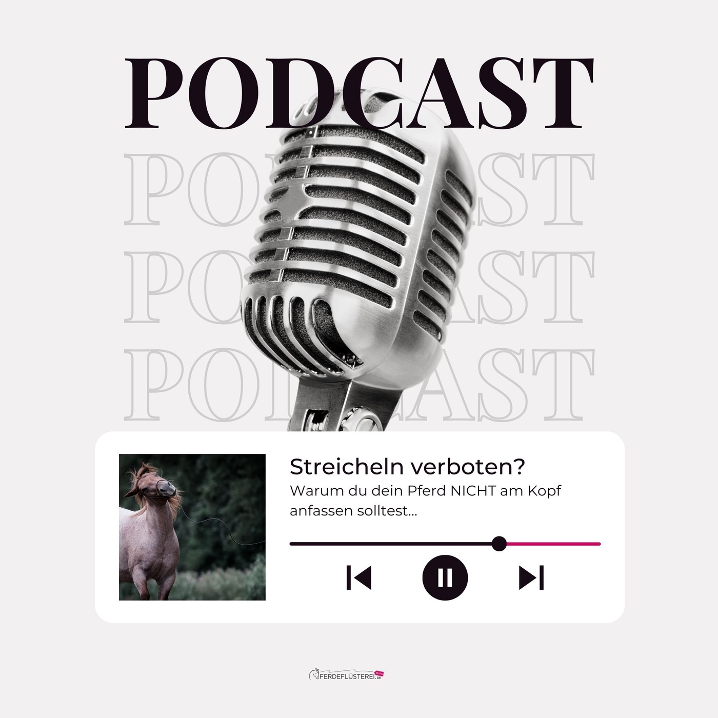 Warum du dein Pferd NICHT am Kopf anfassen solltest…