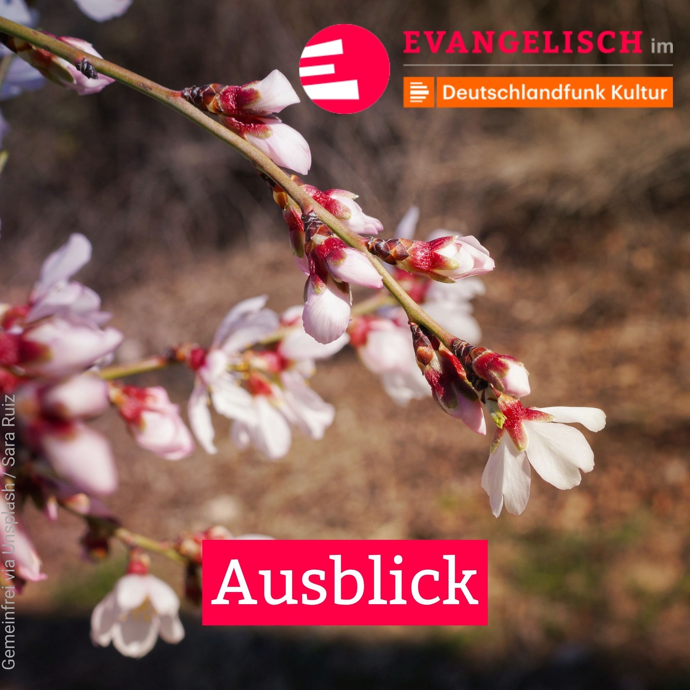 Ausblick