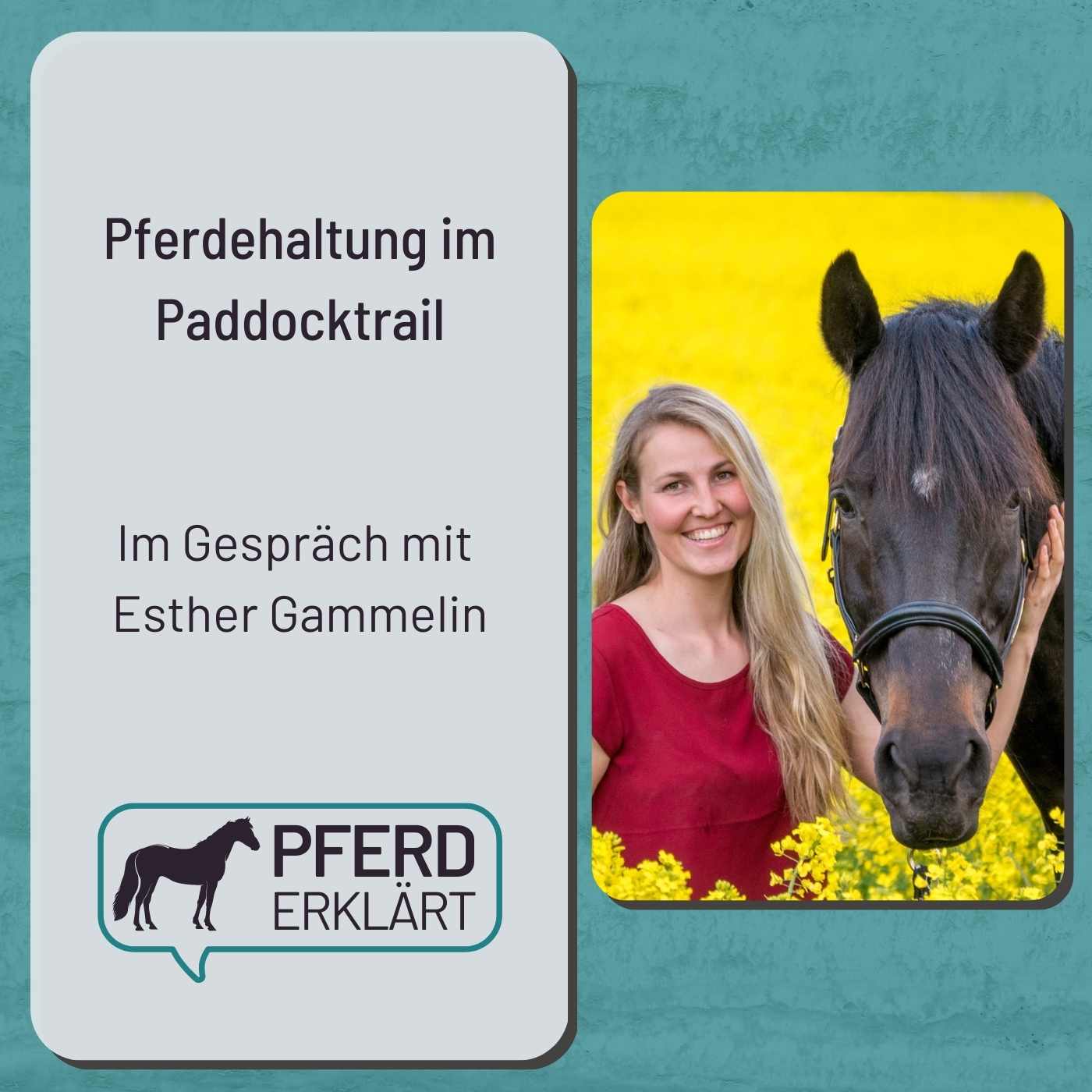 Pferdehaltung im Paddocktrail: Im Gespräch mit Esther Gammelin