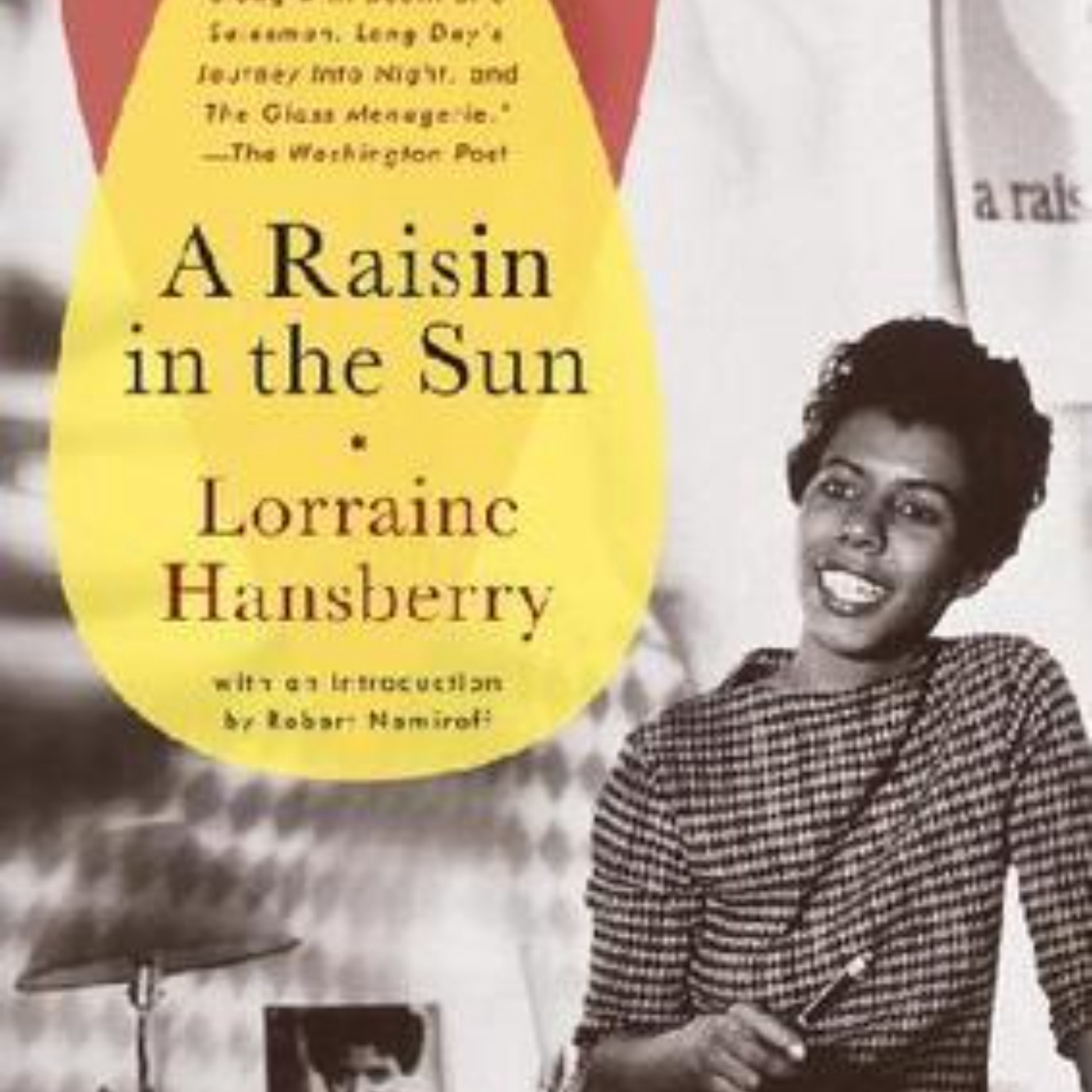 A Raisin in the Sun: Captivating Audio Summary of Hope and Dreams