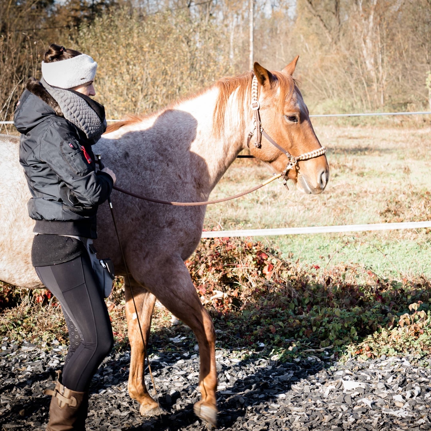 3 Feel Good Facts fürs Pferdetraining