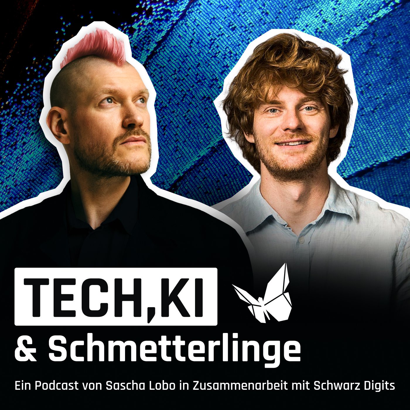 KI und der Wille, die Dinge zu verändern (mit Richard Socher)