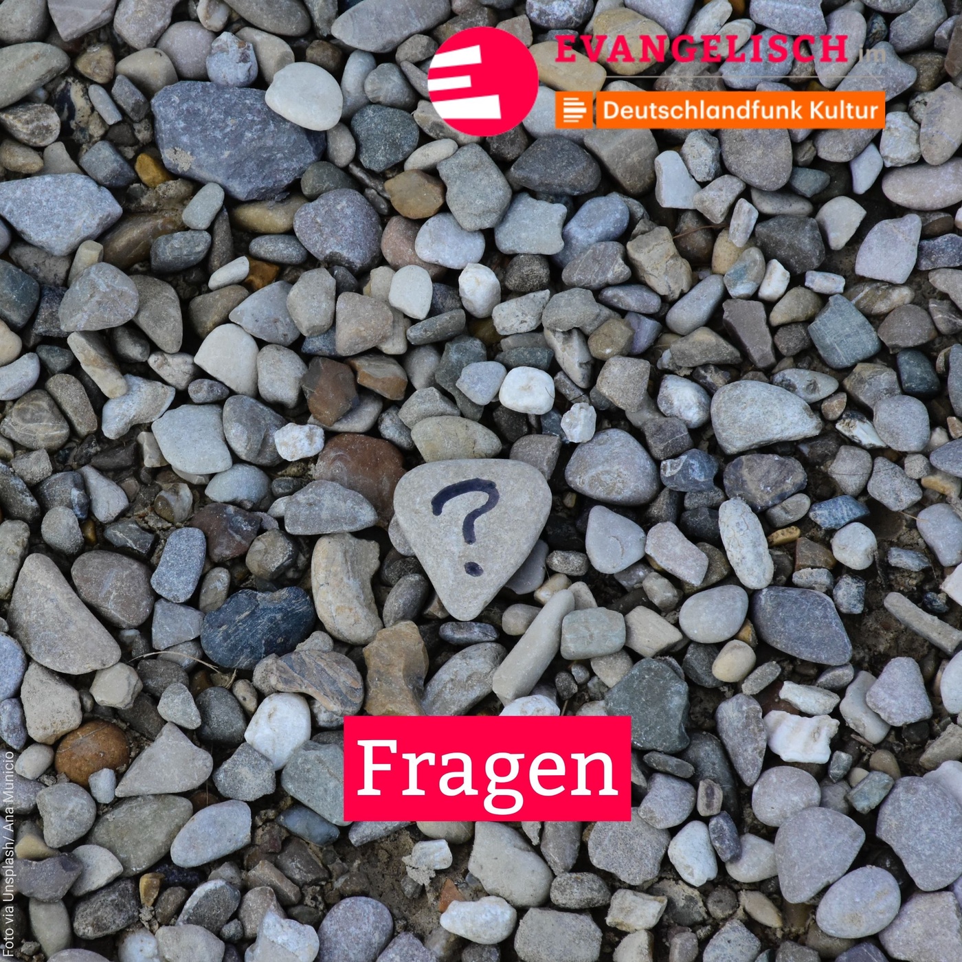 Fragen
