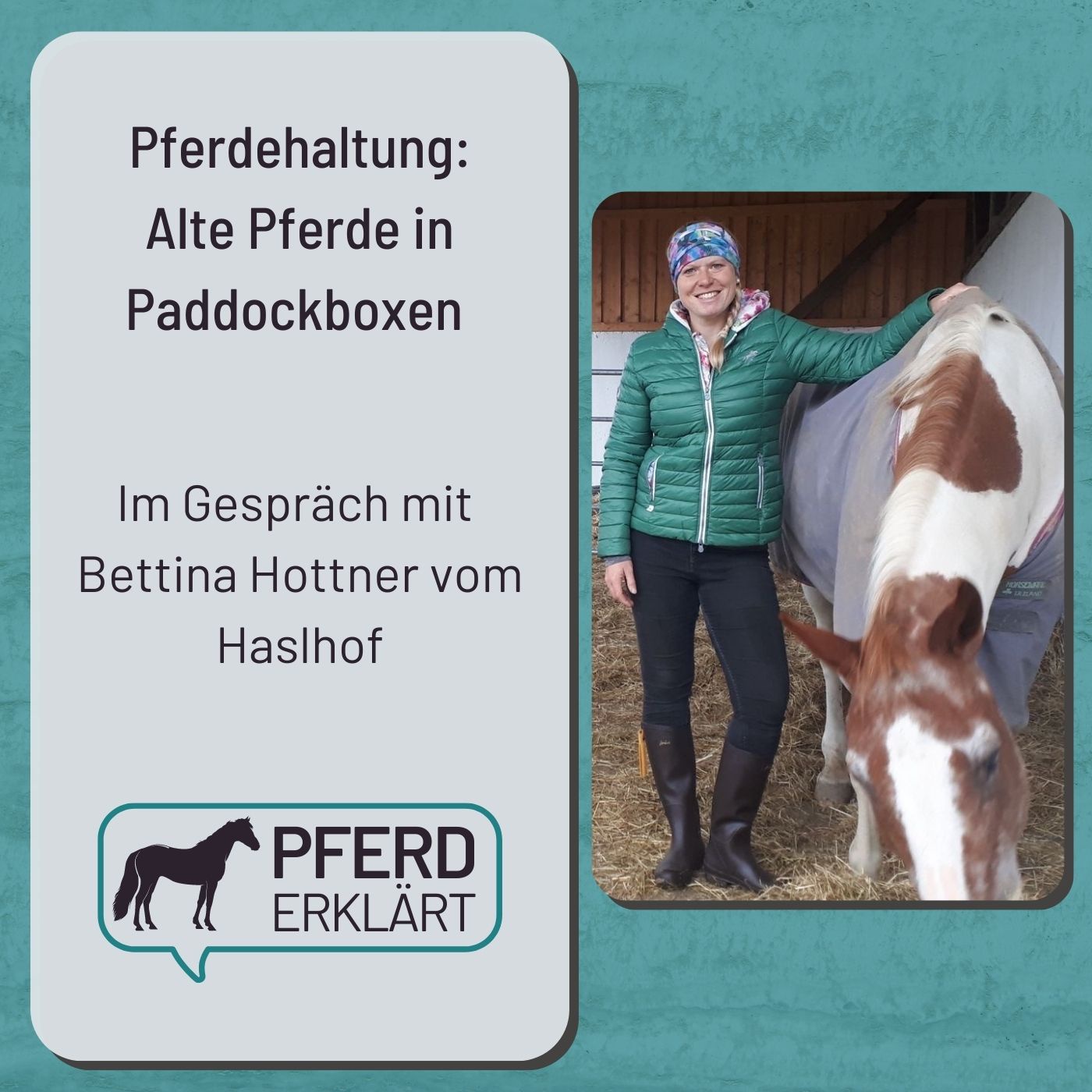 Pferdehaltung: Alte Pferde in Paddockboxen. Im Gespräch mit Bettina Hottner