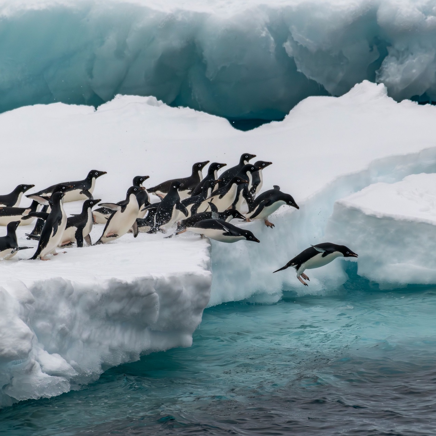 Camille & Rhea | Tourism in Antarctica