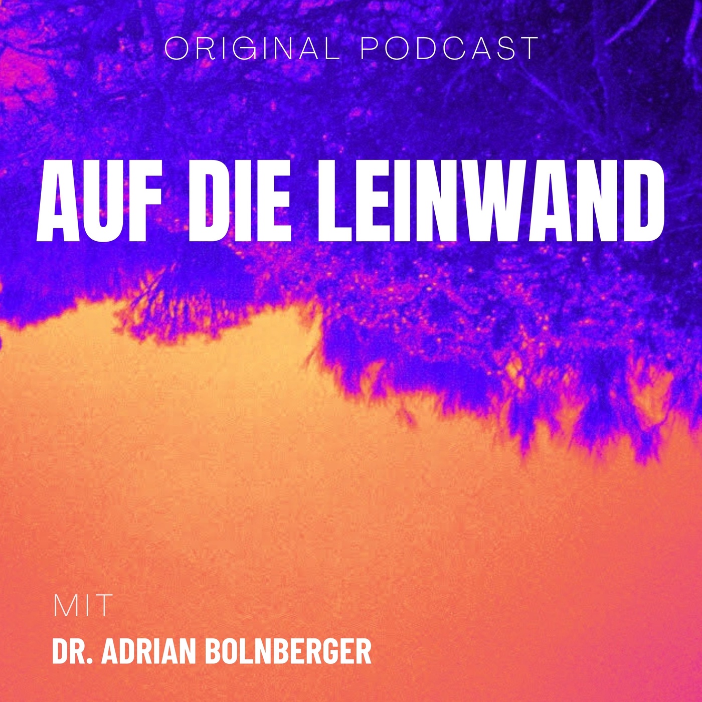 Auf die Leinwand – mit Dr. Adrian Bolnberger