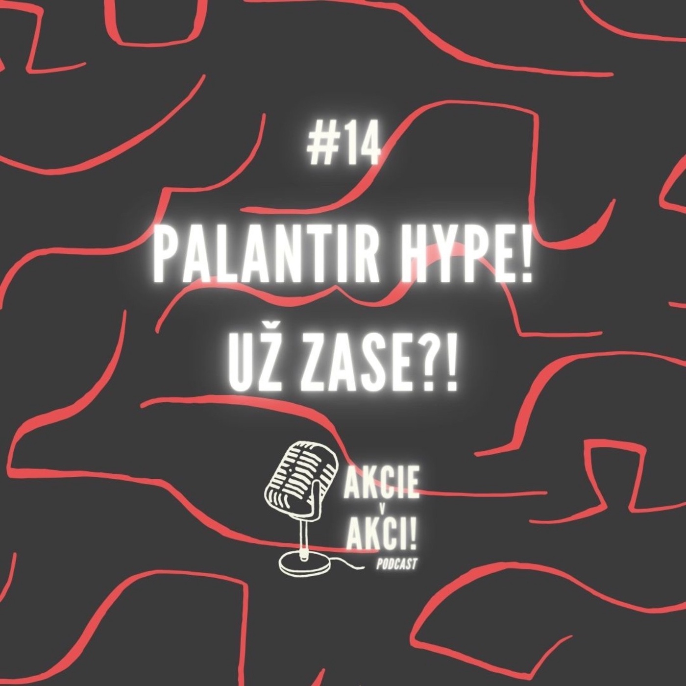 #14 PALANTIR HYPE! UŽ ZASE?!