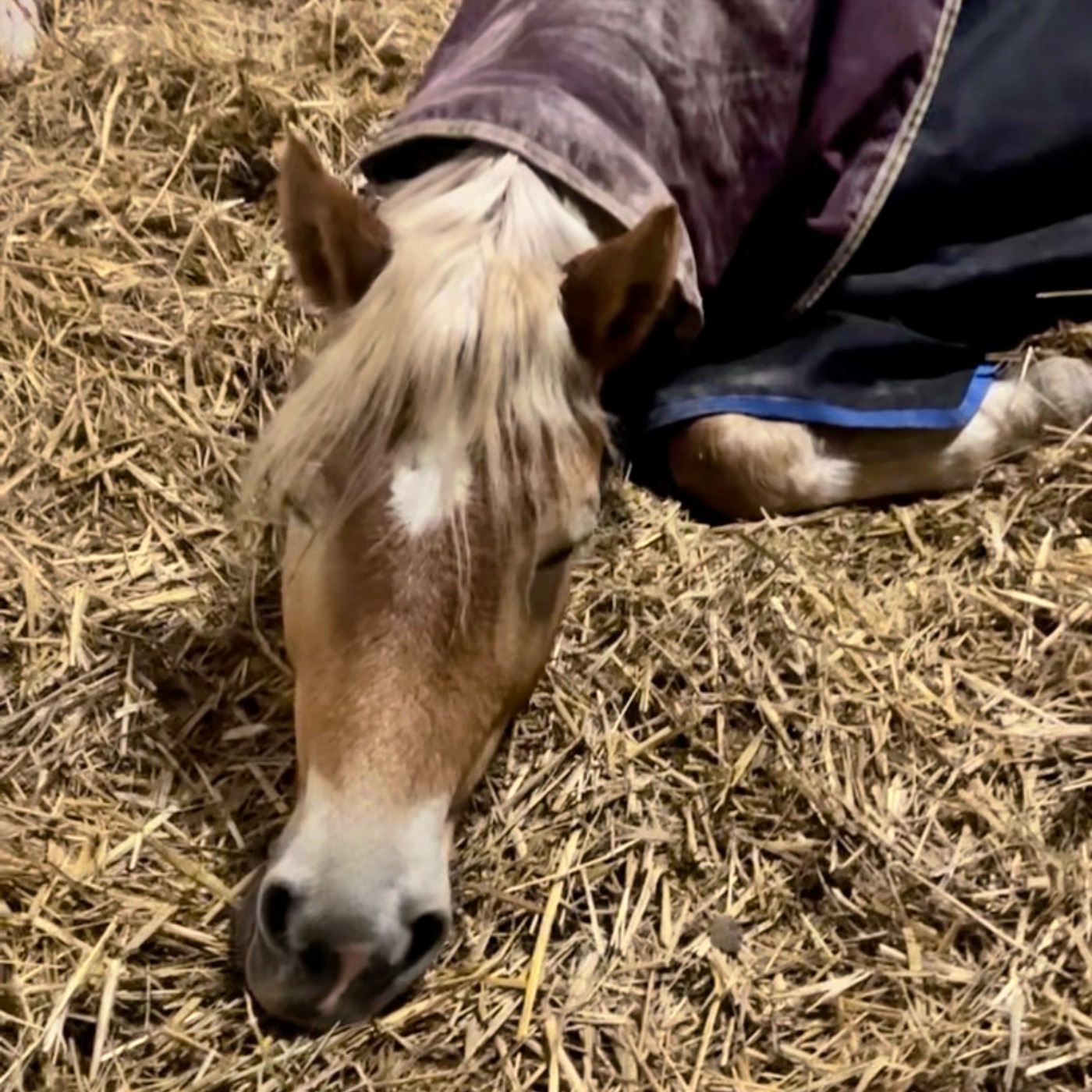 #413 Go with the flow: Antrainieren nach dem Winter