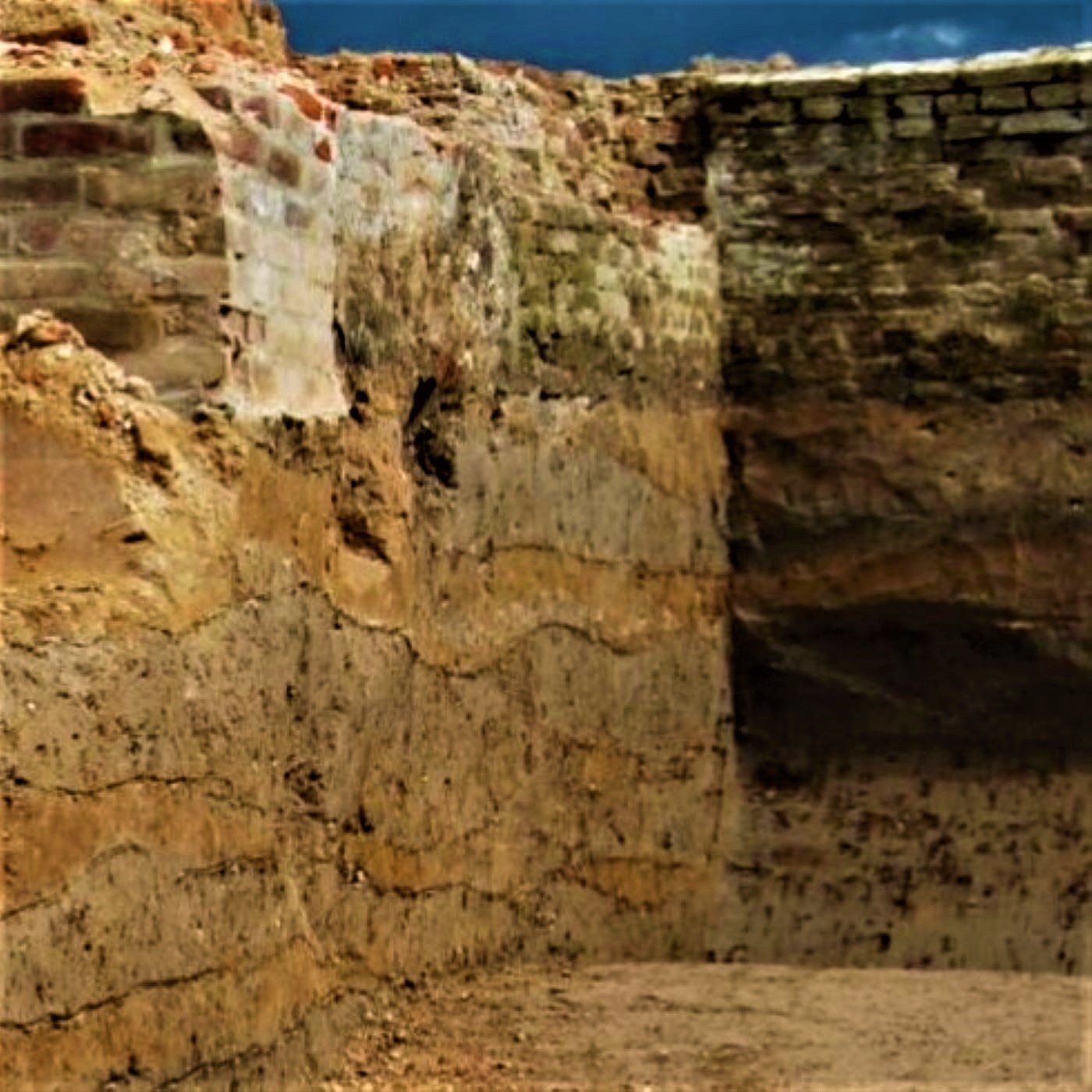 Y-152: Eigenbeschreibung des Projekts 