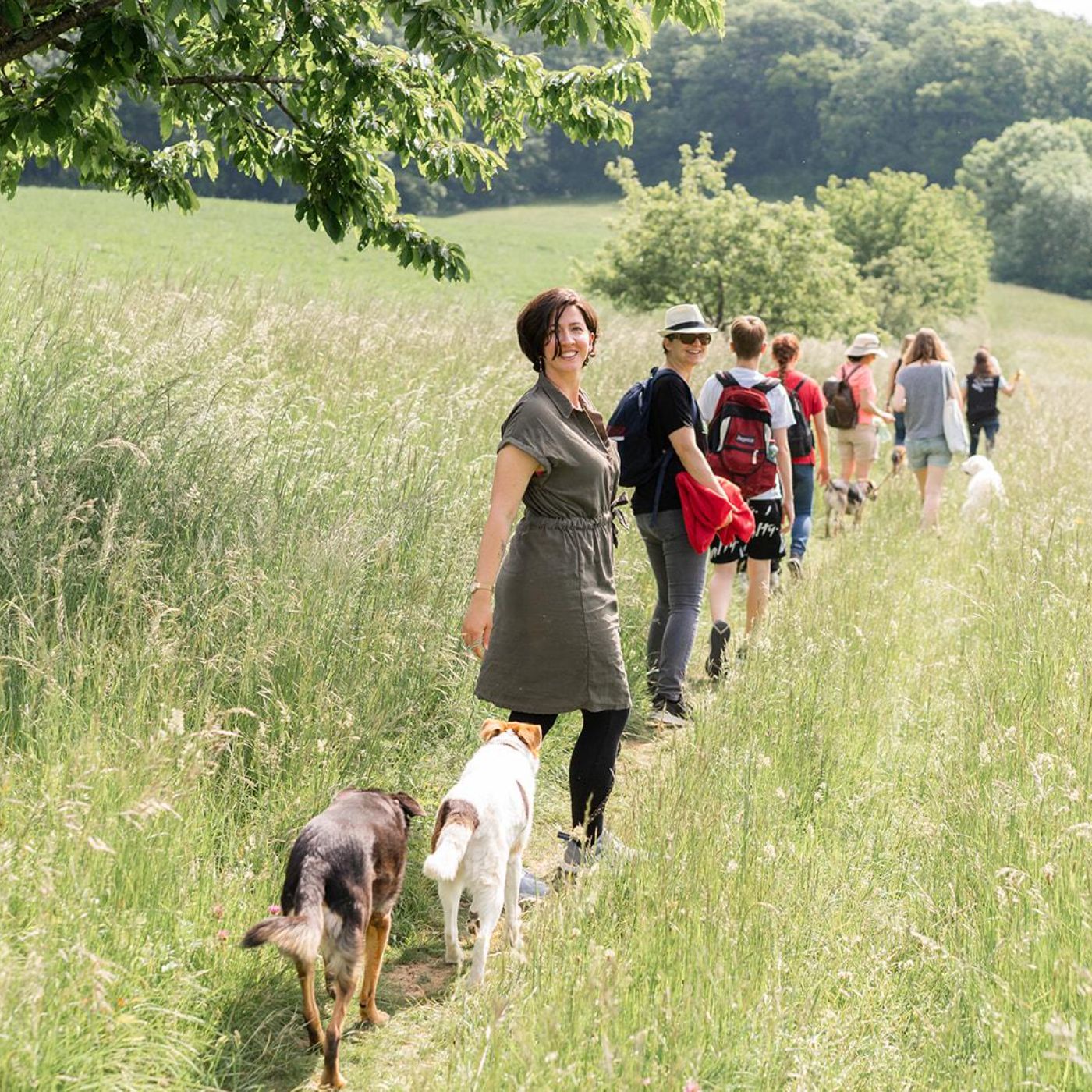 Einblicke in meinen Leitwölfinnen Workshop