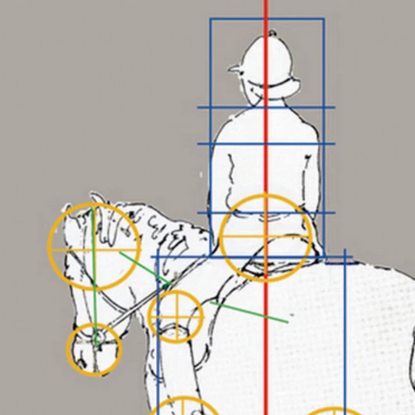 Tipps zur feinen Hilfengebung beim Pferd