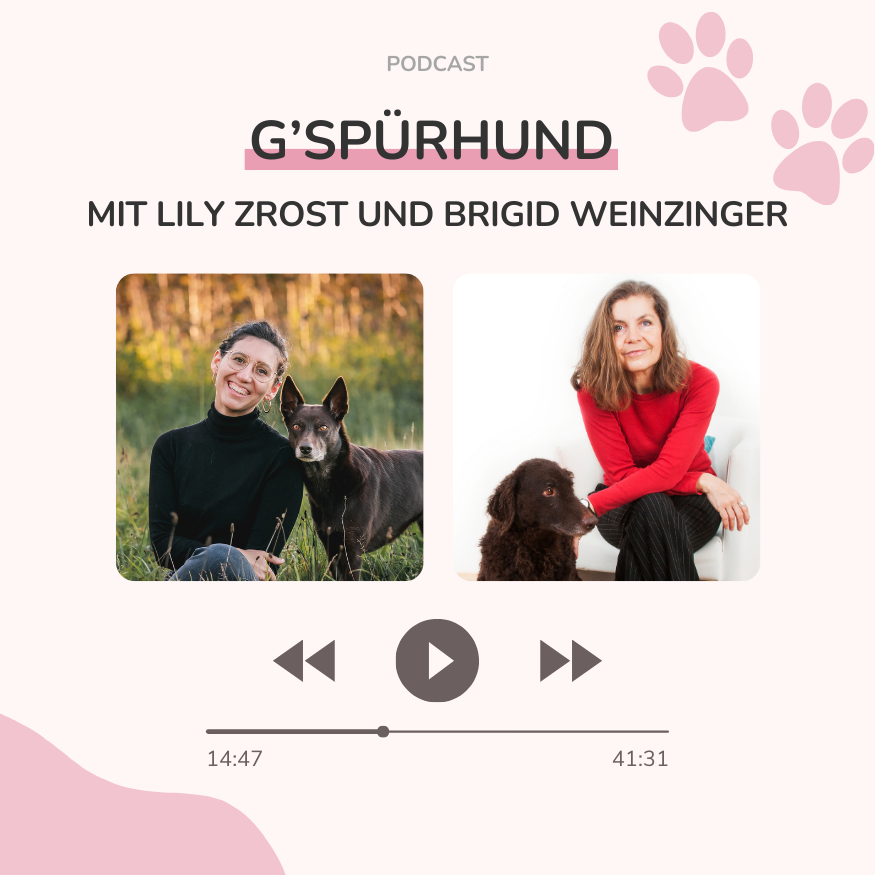 Das Lernverhalten unserer Hunde mit Brigid Weinzinger! S2E2