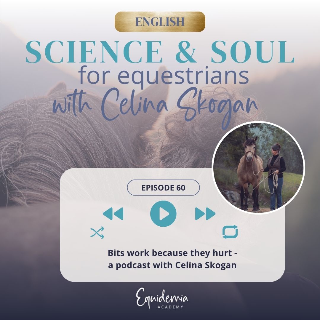 Bits work because they hurt - a pocast with Celina Skogan
